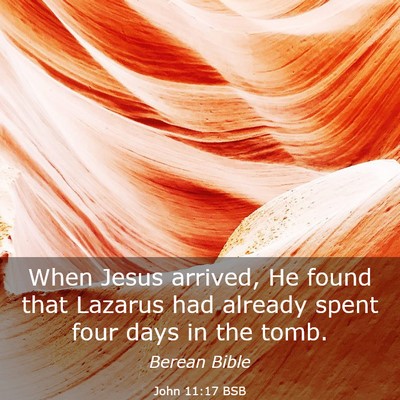 Picture 03 - John 11:17 BSB - When Jesus arrived, He found that Lazarus had - Bible Verse Picture