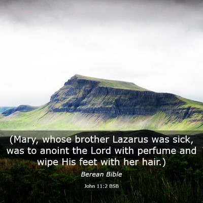 Picture 03 - John 11:2 BSB - (Mary, whose brother Lazarus was sick, was to - Bible Verse Picture