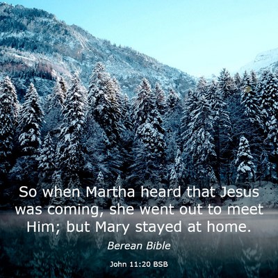 Picture 03 - John 11:20 BSB - So when Martha heard that Jesus was coming, she - Bible Verse Picture