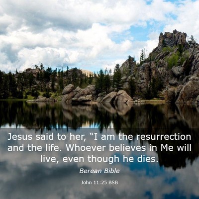 Picture 03 - John 11:25 BSB - Jesus said to her, “I am the resurrection and - Bible Verse Picture
