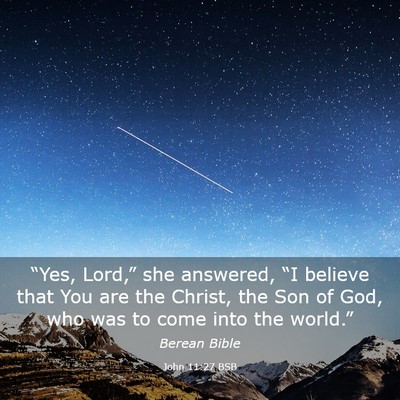 Picture 03 - John 11:27 BSB - “Yes, Lord,” she answered, “I believe that - Bible Verse Picture