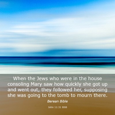 Picture 03 - John 11:31 BSB - When the Jews who were in the house consoling - Bible Verse Picture