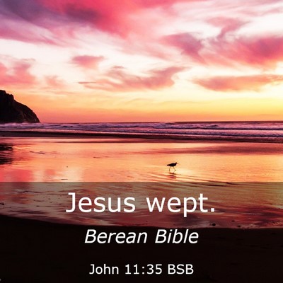 Picture 03 - John 11:35 BSB - Jesus - Bible Verse Picture