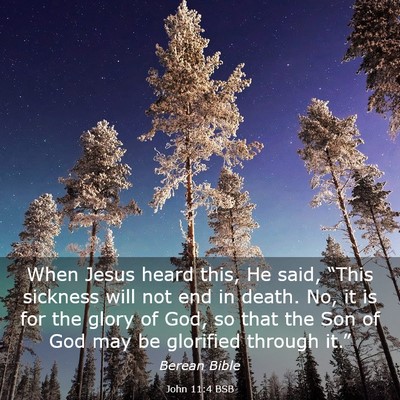 Picture 03 - John 11:4 BSB - When Jesus heard this, He said, “This sickness - Bible Verse Picture