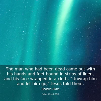 Picture 03 - John 11:44 BSB - The man who had been dead came out with his hands - Bible Verse Picture