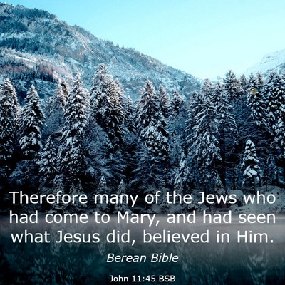 Picture 03 - John 11:45 BSB - Therefore many of the Jews who had come to Mary, - Bible Verse Picture