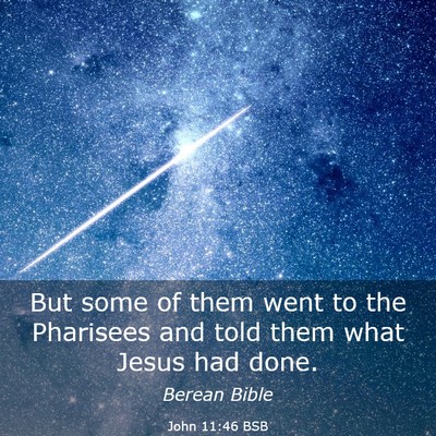 Picture 03 - John 11:46 BSB - But some of them went to the Pharisees and told - Bible Verse Picture