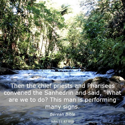 Picture 03 - John 11:47 BSB - Then the chief priests and Pharisees convened the - Bible Verse Picture