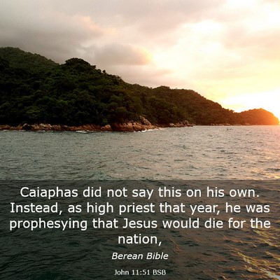 Picture 03 - John 11:51 BSB - Caiaphas did not say this on his own. Instead, as - Bible Verse Picture