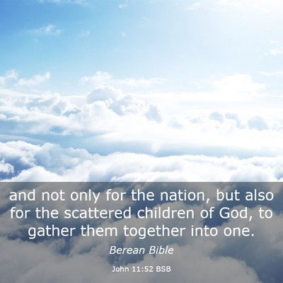Picture 03 - John 11:52 BSB - and not only for the nation, but also for the - Bible Verse Picture