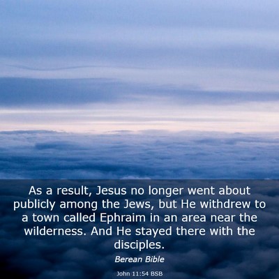 Picture 03 - John 11:54 BSB - As a result, Jesus no longer went about publicly - Bible Verse Picture
