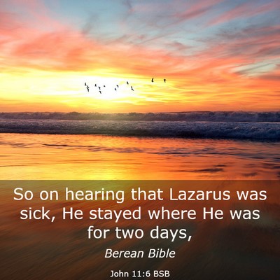 Picture 03 - John 11:6 BSB - So on hearing that Lazarus was sick, He stayed - Bible Verse Picture