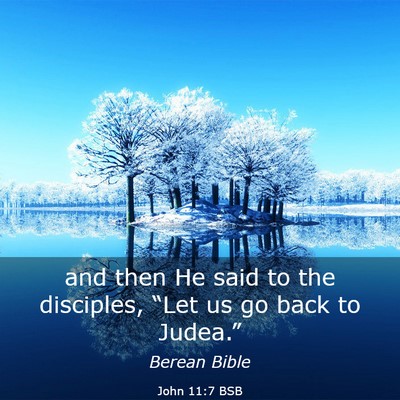 Picture 03 - John 11:7 BSB - and then He said to the disciples, “Let us go - Bible Verse Picture