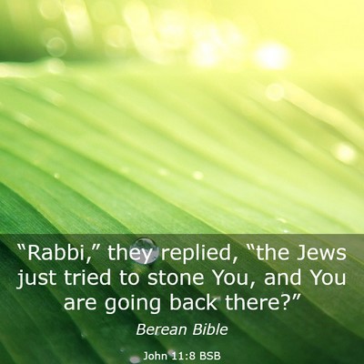 Picture 03 - John 11:8 BSB - “Rabbi,” they replied, “the Jews just tried - Bible Verse Picture