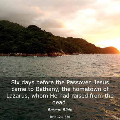 Picture 03 - John 12:1 BSB - Six days before the Passover, Jesus came to - Bible Verse Picture