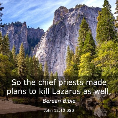 Picture 03 - John 12:10 BSB - So the chief priests made plans to kill Lazarus - Bible Verse Picture