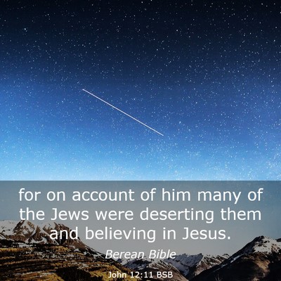 Picture 03 - John 12:11 BSB - for on account of him many of the Jews were - Bible Verse Picture