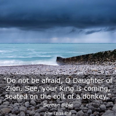 Picture 03 - John 12:15 BSB - “Do not be afraid, O Daughter of Zion. See, - Bible Verse Picture