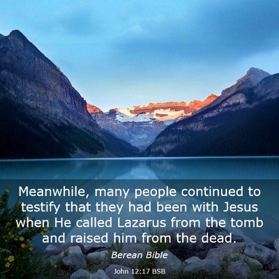 Picture 03 - John 12:17 BSB - Meanwhile, many people continued to testify that - Bible Verse Picture