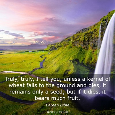 Picture 03 - John 12:24 BSB - Truly, truly, I tell you, unless a kernel of - Bible Verse Picture