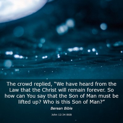 Picture 03 - John 12:34 BSB - The crowd replied, “We have heard from the Law - Bible Verse Picture