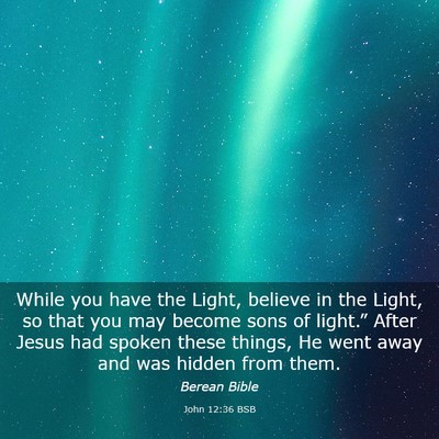 Picture 03 - John 12:36 BSB - While you have the Light, believe in the Light, - Bible Verse Picture