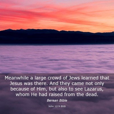 Picture 03 - John 12:9 BSB - Meanwhile a large crowd of Jews learned that - Bible Verse Picture