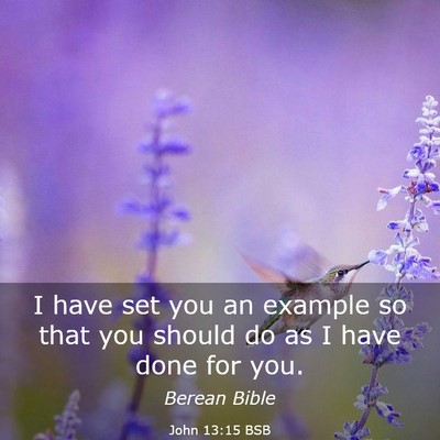 Picture 03 - John 13:15 BSB - I have set you an example so that you should do - Bible Verse Picture