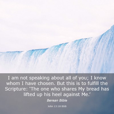 Picture 03 - John 13:18 BSB - I am not speaking about all of you; I know whom I - Bible Verse Picture