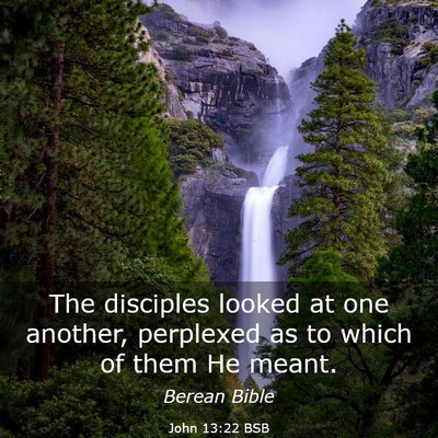 Picture 03 - John 13:22 BSB - The disciples looked at one another, perplexed as - Bible Verse Picture