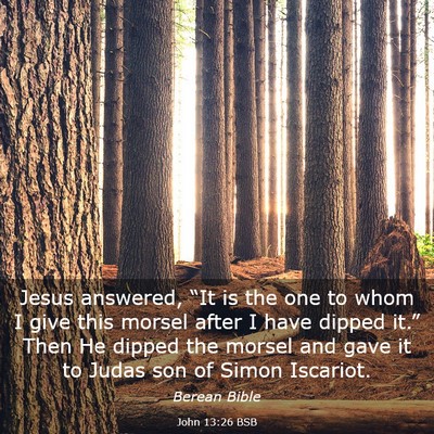 Picture 03 - John 13:26 BSB - Jesus answered, “It is the one to whom I give - Bible Verse Picture