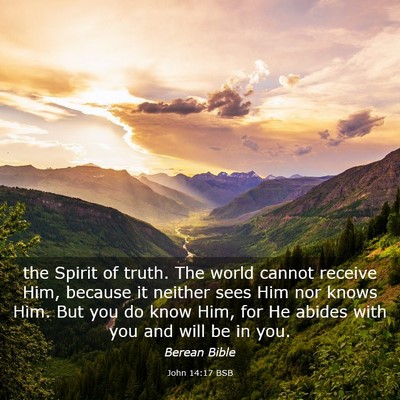 Picture 03 - John 14:17 BSB - the Spirit of truth. The world cannot receive - Bible Verse Picture