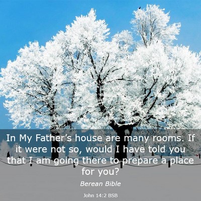 Picture 03 - John 14:2 BSB - In My Father’s house are many rooms. If it were - Bible Verse Picture