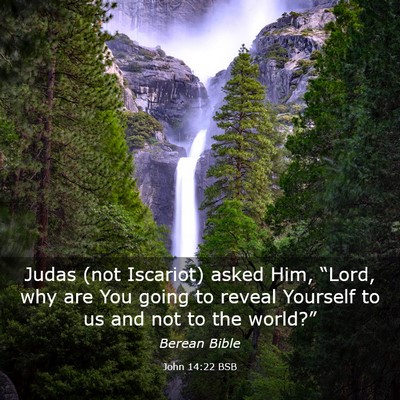 Picture 03 - John 14:22 BSB - Judas (not Iscariot) asked Him, “Lord, why are - Bible Verse Picture