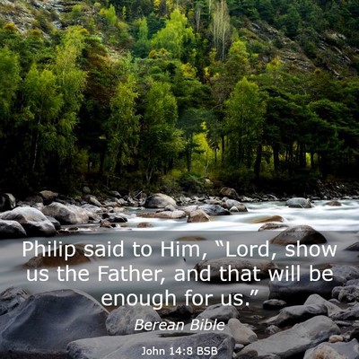 Picture 03 - John 14:8 BSB - Philip said to Him, “Lord, show us the Father, - Bible Verse Picture