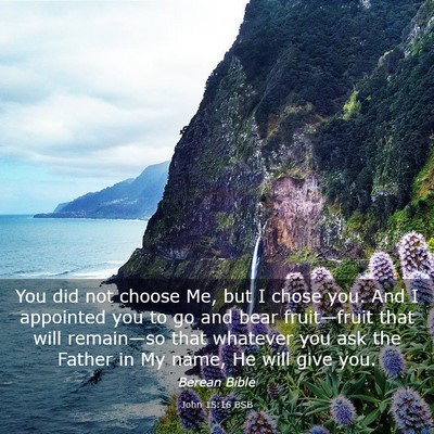 Picture 03 - John 15:16 BSB - You did not choose Me, but I chose you. And I - Bible Verse Picture