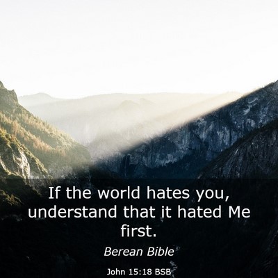 Picture 03 - John 15:18 BSB - If the world hates you, understand that it hated - Bible Verse Picture