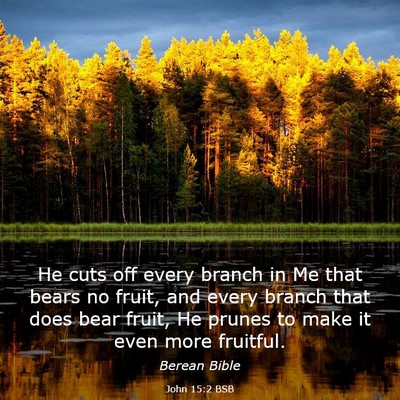 Picture 03 - John 15:2 BSB - He cuts off every branch in Me that bears no - Bible Verse Picture