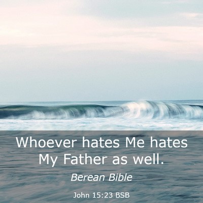 Picture 03 - John 15:23 BSB - Whoever hates Me hates My Father as - Bible Verse Picture