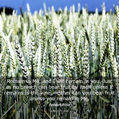 Picture 03 - John 15:4 BSB - Remain in Me, and I will remain in you. Just as - Bible Verse Picture