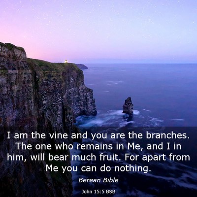Picture 03 - John 15:5 BSB - I am the vine and you are the branches. The one - Bible Verse Picture