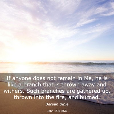 Picture 03 - John 15:6 BSB - If anyone does not remain in Me, he is like a - Bible Verse Picture