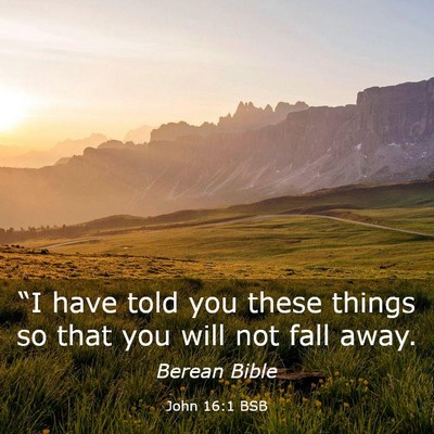 Picture 03 - John 16:1 BSB - “I have told you these things so that you will - Bible Verse Picture