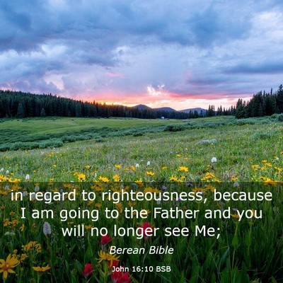 Picture 03 - John 16:10 BSB - in regard to righteousness, because I am going to - Bible Verse Picture