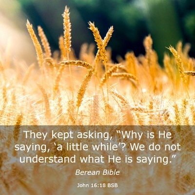 Picture 03 - John 16:18 BSB - They kept asking, “Why is He saying, ‘a - Bible Verse Picture
