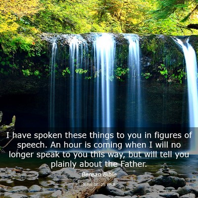 Picture 03 - John 16:25 BSB - I have spoken these things to you in figures of - Bible Verse Picture