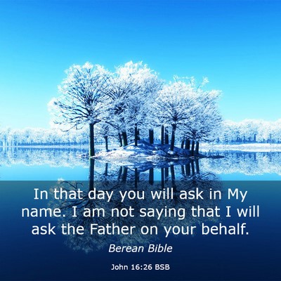 Picture 03 - John 16:26 BSB - In that day you will ask in My name. I am not - Bible Verse Picture