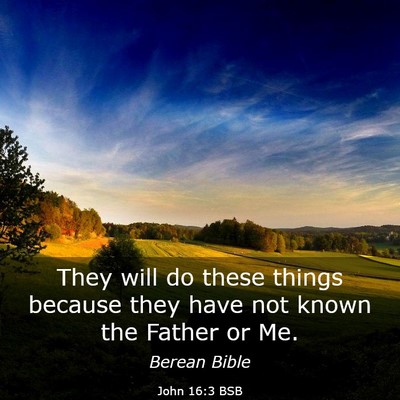 Picture 03 - John 16:3 BSB - They will do these things because they have not - Bible Verse Picture
