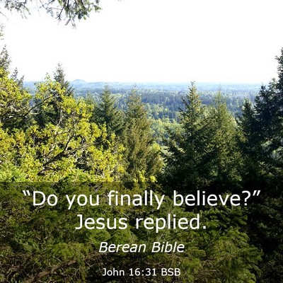 Picture 03 - John 16:31 BSB - “Do you finally believe?” Jesus - Bible Verse Picture