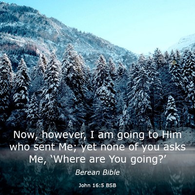 Picture 03 - John 16:5 BSB - Now, however, I am going to Him who sent Me; yet - Bible Verse Picture